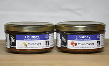 gamme chutneys copie